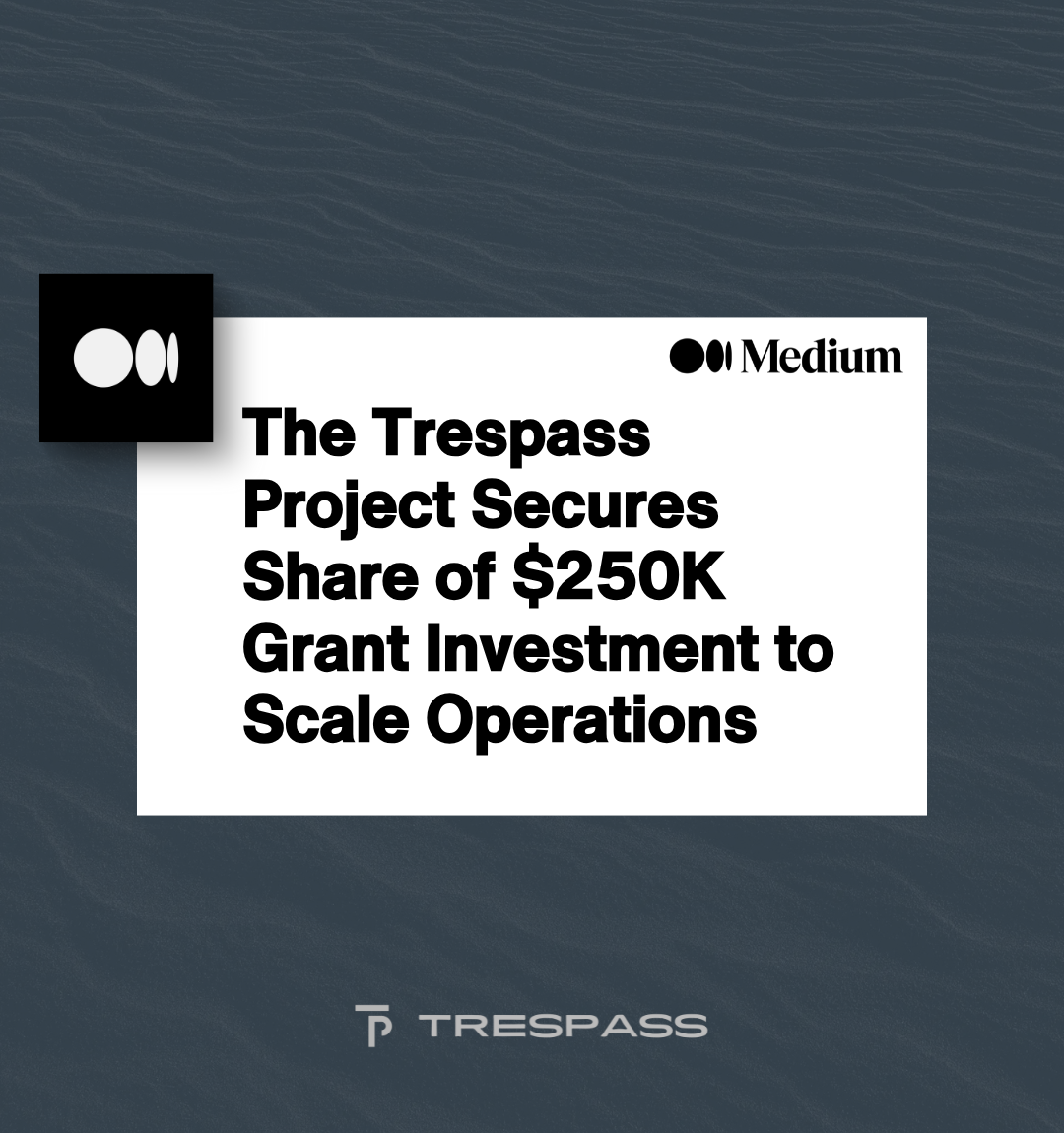 The Trespass Project Receives Share of $250K Grant